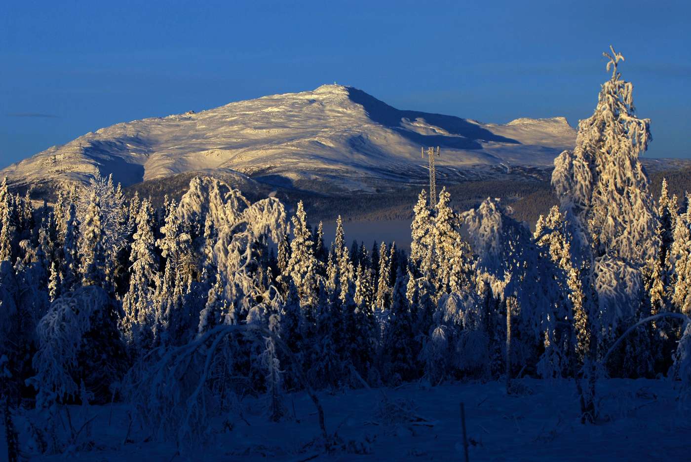 Skutan i vinterljus, fotograferad från Undersåker